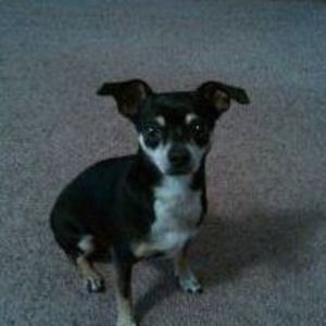 Meet your Posher, Teresa